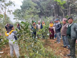 वन मन्त्रीको चित्रेपानी वनमा अवलोकन