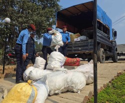 मकवानपुर प्रहरीद्वारा ५ किलो १० ग्राम लागु औषध गाँजा सहित १ जना पक्राउ